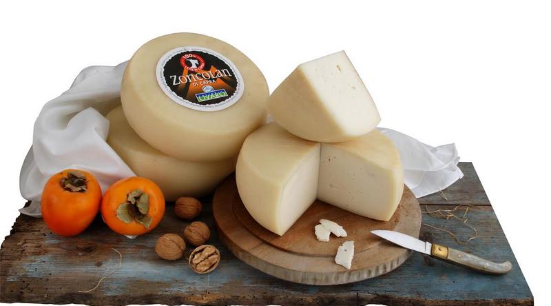 Tre formaggi friulani premiati ai World Cheese Awards - Studio Nord News